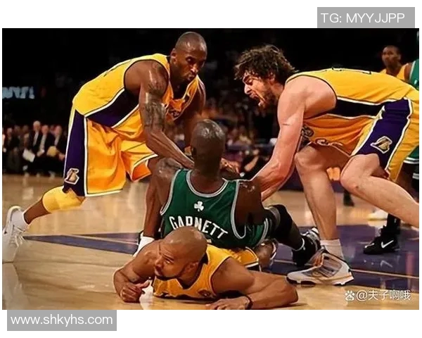 湖人队与热火队2013年总决赛经典对决回顾与分析